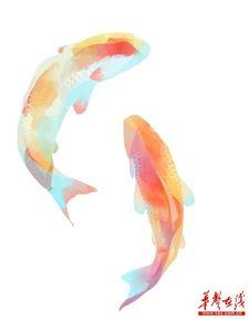 鸟哥爆料锦鲤视频,鸟哥独家爆料背后的故事 第1张 鸟哥爆料锦鲤视频,鸟哥独家爆料背后的故事 第1张